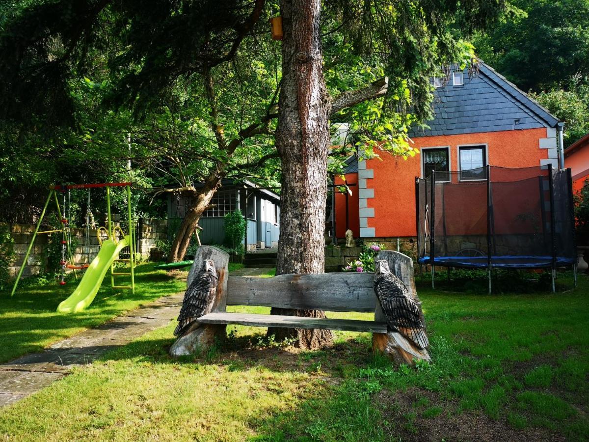 Ferienhaus Franz - An Der Elbe, Mit Grossem Garten 피르나 외부 사진
