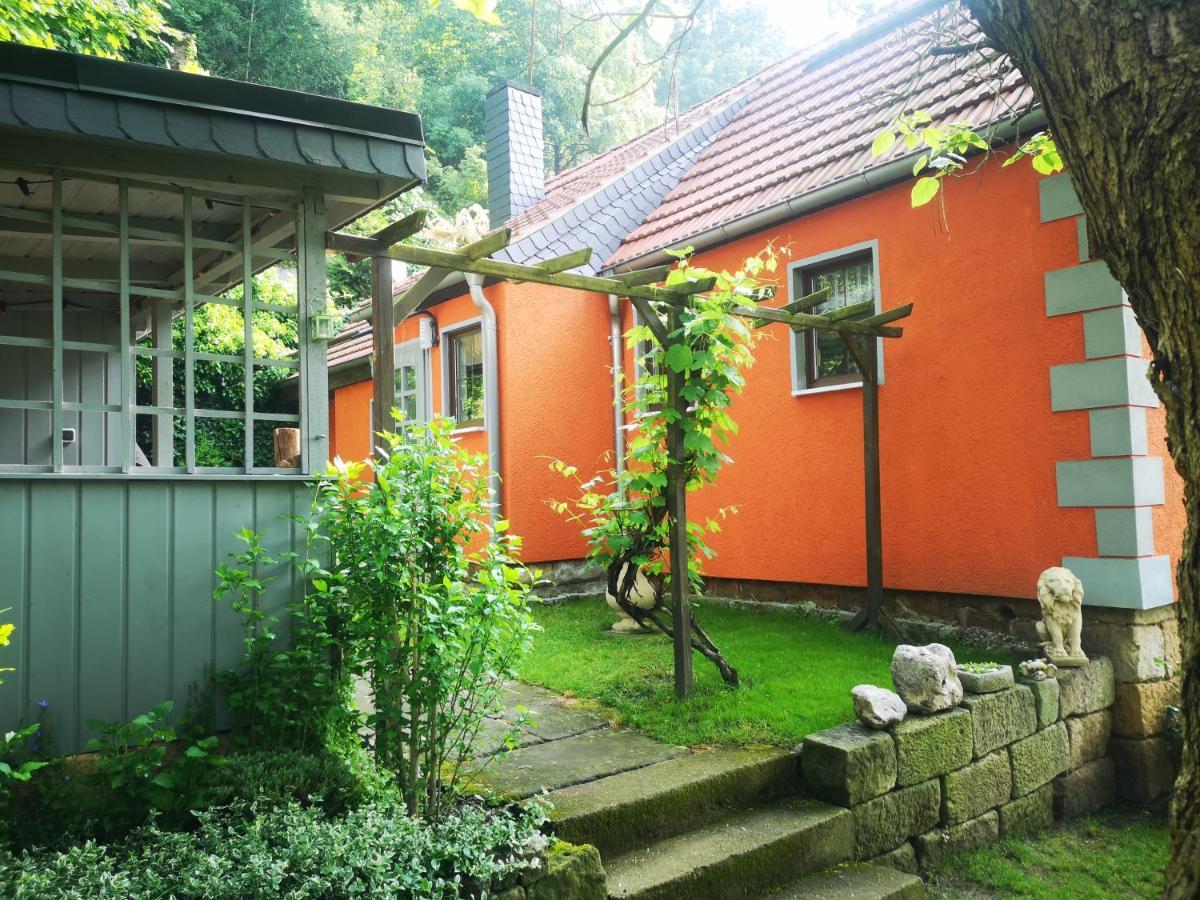 피르나 Ferienhaus Franz - An Der Elbe, Mit Grossem Garten 빌라 외부 사진