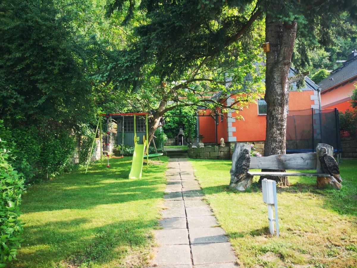 Ferienhaus Franz - An Der Elbe, Mit Grossem Garten 피르나 외부 사진