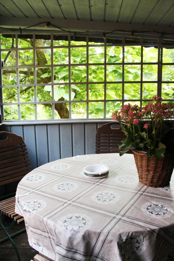 Ferienhaus Franz - An Der Elbe, Mit Grossem Garten 피르나 외부 사진